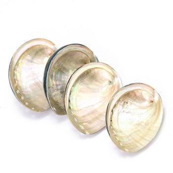 Φυσική Νέα Ζηλανδία Μαύρος Χρυσός Abalone Shell Smooth Luster Scallop Seashell Ναυτικό δείγμα Altar Divination Aquarium Decor