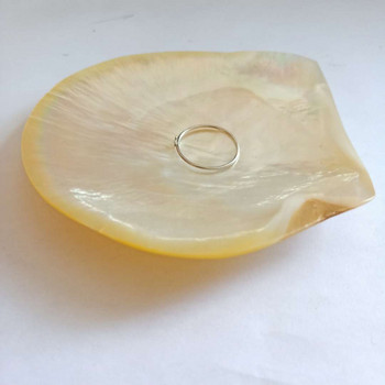 Δαχτυλίδι κοσμήματος με κοχύλι με φυσικό γυάλισμα χτενιού Βάση αποθήκευσης με επίδειξη DIY Δίσκος χαβιαριού Πυρήνα γάμου Διακόσμηση σπιτιού
