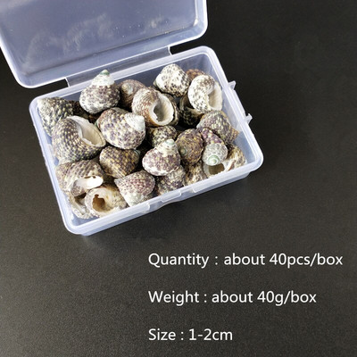 Mix štýlov prírodných mušlí 1-3cm 1 BOX prírodných mušlí mini mušlí kukuričná skrutka nástenná dekorácia DIY akvárium krajina morská hviezda