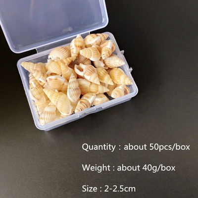 Mix štýlov prírodných mušlí 1-3cm 1 BOX prírodných mušlí mini mušlí kukuričná skrutka nástenná dekorácia DIY akvárium krajina morská hviezda