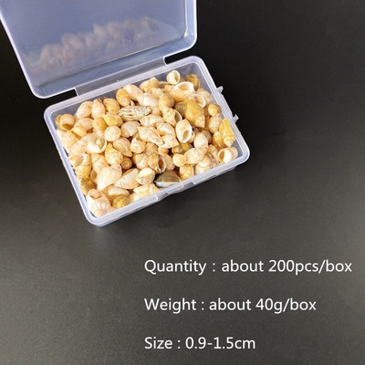 Mix štýlov prírodných mušlí 1-3cm 1 BOX prírodných mušlí mini mušlí kukuričná skrutka nástenná dekorácia DIY akvárium krajina morská hviezda