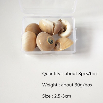Mix štýlov prírodných mušlí 1-3cm 1 BOX prírodných mušlí mini mušlí kukuričná skrutka nástenná dekorácia DIY akvárium krajina morská hviezda
