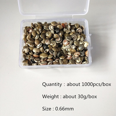 Mix štýlov prírodných mušlí 1-3cm 1 BOX prírodných mušlí mini mušlí kukuričná skrutka nástenná dekorácia DIY akvárium krajina morská hviezda
