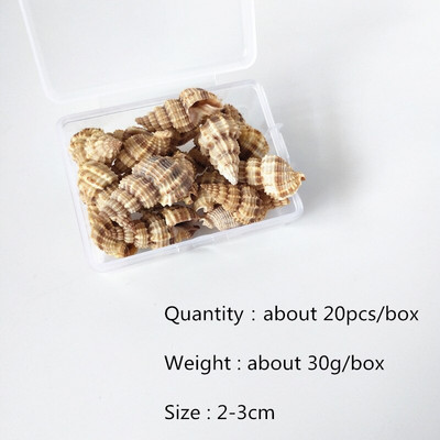 Mix štýlov prírodných mušlí 1-3cm 1 BOX prírodných mušlí mini mušlí kukuričná skrutka nástenná dekorácia DIY akvárium krajina morská hviezda