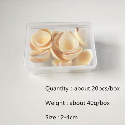Mix štýlov prírodných mušlí 1-3cm 1 BOX prírodných mušlí mini mušlí kukuričná skrutka nástenná dekorácia DIY akvárium krajina morská hviezda