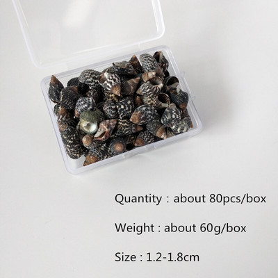Mix štýlov prírodných mušlí 1-3cm 1 BOX prírodných mušlí mini mušlí kukuričná skrutka nástenná dekorácia DIY akvárium krajina morská hviezda