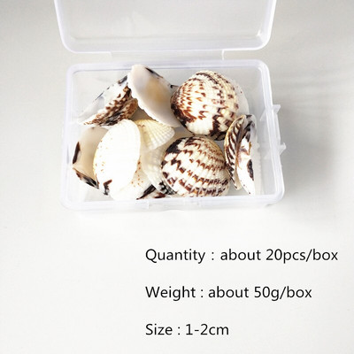 Mix štýlov prírodných mušlí 1-3cm 1 BOX prírodných mušlí mini mušlí kukuričná skrutka nástenná dekorácia DIY akvárium krajina morská hviezda