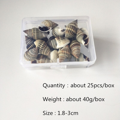 Mix štýlov prírodných mušlí 1-3cm 1 BOX prírodných mušlí mini mušlí kukuričná skrutka nástenná dekorácia DIY akvárium krajina morská hviezda