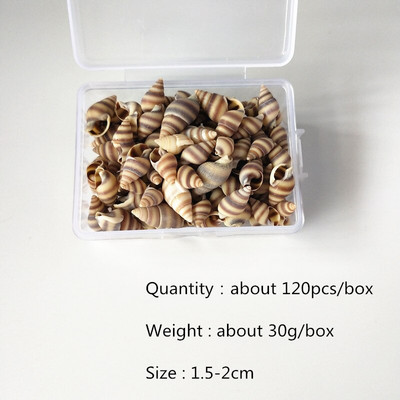 Mix štýlov prírodných mušlí 1-3cm 1 BOX prírodných mušlí mini mušlí kukuričná skrutka nástenná dekorácia DIY akvárium krajina morská hviezda