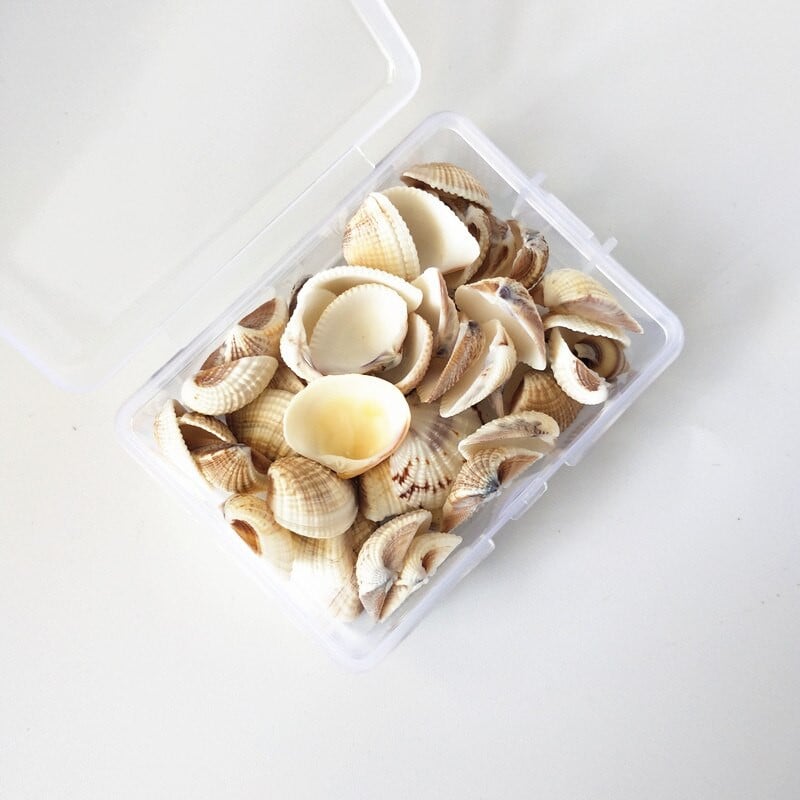 Mix štýlov prírodných mušlí 1-3cm 1 BOX prírodných mušlí mini mušlí kukuričná skrutka nástenná dekorácia DIY akvárium krajina morská hviezda