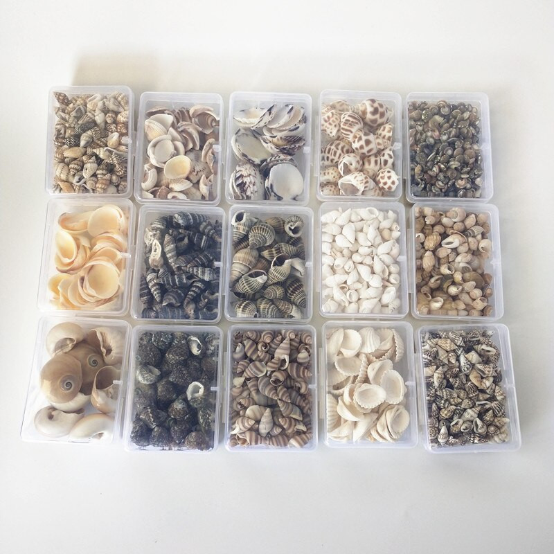 Mix štýlov prírodných mušlí 1-3cm 1 BOX prírodných mušlí mini mušlí kukuričná skrutka nástenná dekorácia DIY akvárium krajina morská hviezda