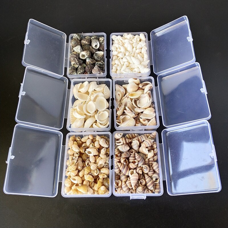 Mix štýlov prírodných mušlí 1-3cm 1 BOX prírodných mušlí mini mušlí kukuričná skrutka nástenná dekorácia DIY akvárium krajina morská hviezda