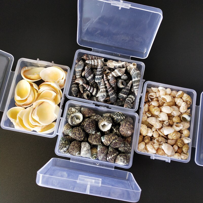 Mix štýlov prírodných mušlí 1-3cm 1 BOX prírodných mušlí mini mušlí kukuričná skrutka nástenná dekorácia DIY akvárium krajina morská hviezda