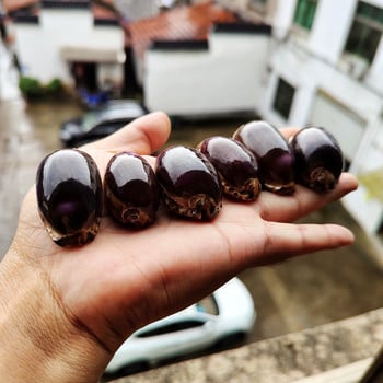 Conchs Seashells Gel Υλικό Ενυδρείο Δώρο για Παιδιά Διακόσμηση σπιτιού Fish Tank Εξωραϊσμός