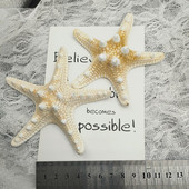 10 bucăți de decorare stele de mare accesorii foto stea de pește uscate naturale stele de mare de nunta decor acasă ornamente de stele de mare accesorii bricolaj