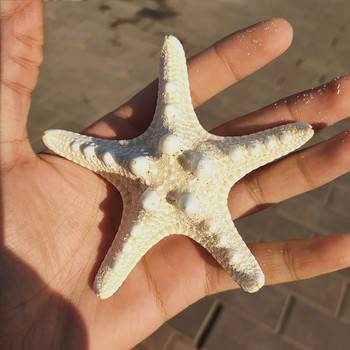10 τμχ Διακόσμηση Αστερίας Φωτογραφικά στηρίγματα Star Fish Φυσικά αποξηραμένα Αστερίας Διακόσμηση σπιτιού Γάμου Sea Star Στολίδια DIY Αξεσουάρ