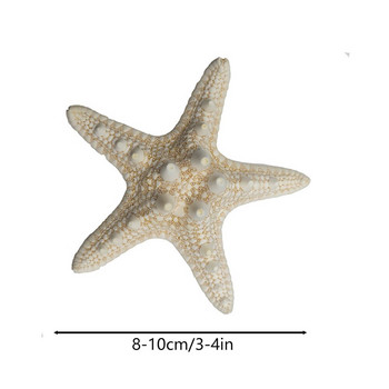 10 τμχ Διακόσμηση Αστερίας Φωτογραφικά στηρίγματα Star Fish Φυσικά αποξηραμένα Αστερίας Διακόσμηση σπιτιού Γάμου Sea Star Στολίδια DIY Αξεσουάρ
