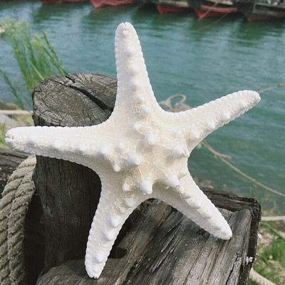 10 bucăți de decorare stele de mare accesorii foto stea de pește uscate naturale stele de mare de nunta decor acasă ornamente de stele de mare accesorii bricolaj