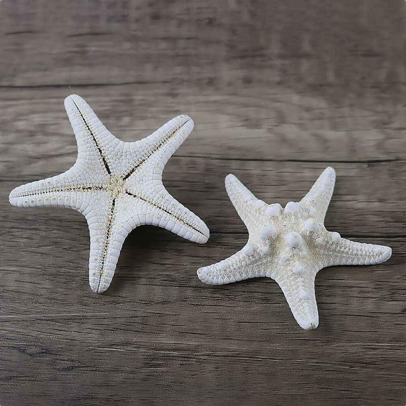 10 bucăți de decorare stele de mare accesorii foto stea de pește uscate naturale stele de mare de nunta decor acasă ornamente de stele de mare accesorii bricolaj