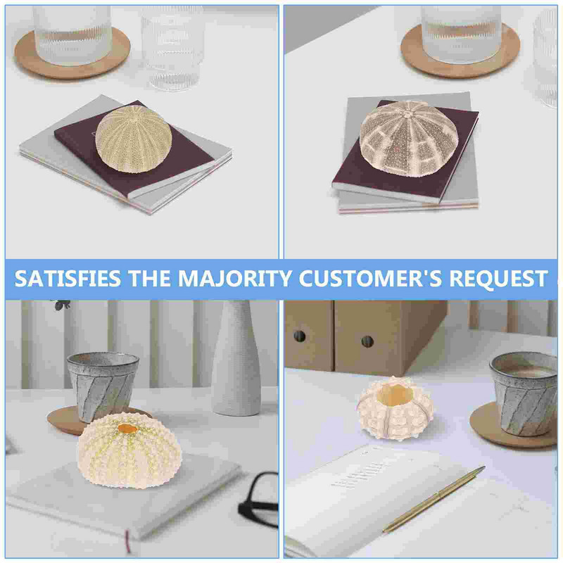 5 vnt. Vandenyno pajūrio kriauklės orinis ananasų puodas Jūrinis jūros kriauklės jūrinis jūrų ežiukas Miniatiūrinis jūrų ežių jūrų ežių amatas