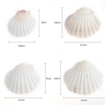 4 τμχ SeaShells Beach Decorate DIY 9-14cm Μεσογειακό Στιλ Θαλασσινά Φυσικά Κοχύλια Shell Crafts Διακόσμηση δεξαμενής ψαριών ενυδρείου