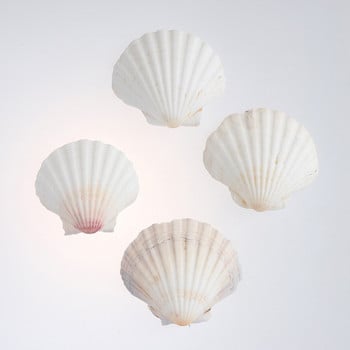 4 τμχ SeaShells Beach Decorate DIY 9-14cm Μεσογειακό Στιλ Θαλασσινά Φυσικά Κοχύλια Shell Crafts Διακόσμηση δεξαμενής ψαριών ενυδρείου