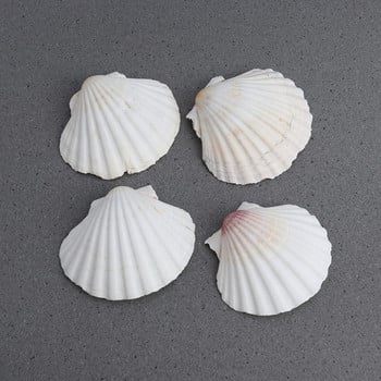 4 τμχ SeaShells Beach Decorate DIY 9-14cm Μεσογειακό Στιλ Θαλασσινά Φυσικά Κοχύλια Shell Crafts Διακόσμηση δεξαμενής ψαριών ενυδρείου