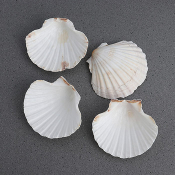 4 τμχ SeaShells Beach Decorate DIY 9-14cm Μεσογειακό Στιλ Θαλασσινά Φυσικά Κοχύλια Shell Crafts Διακόσμηση δεξαμενής ψαριών ενυδρείου