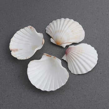 4 τμχ SeaShells Beach Decorate DIY 9-14cm Μεσογειακό Στιλ Θαλασσινά Φυσικά Κοχύλια Shell Crafts Διακόσμηση δεξαμενής ψαριών ενυδρείου