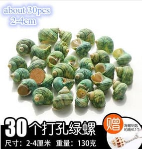 DIY spiralna školjka Školjke s rupama Prirodna plaža Kućni nautički obrt Ukrasi za rukotvorine Nakit Narukvica Ogrlica Morska zvijezda