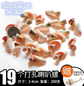 DIY spiralna školjka Školjke s rupama Prirodna plaža Kućni nautički obrt Ukrasi za rukotvorine Nakit Narukvica Ogrlica Morska zvijezda