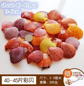 DIY spiralna školjka Školjke s rupama Prirodna plaža Kućni nautički obrt Ukrasi za rukotvorine Nakit Narukvica Ogrlica Morska zvijezda