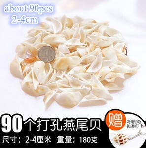 DIY spiralna školjka Školjke s rupama Prirodna plaža Kućni nautički obrt Ukrasi za rukotvorine Nakit Narukvica Ogrlica Morska zvijezda