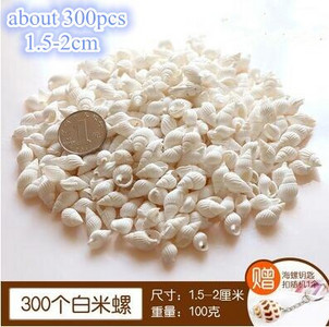 DIY spiralna školjka Školjke s rupama Prirodna plaža Kućni nautički obrt Ukrasi za rukotvorine Nakit Narukvica Ogrlica Morska zvijezda