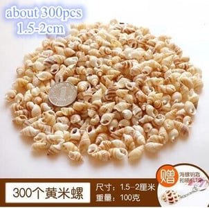 DIY spiralna školjka Školjke s rupama Prirodna plaža Kućni nautički obrt Ukrasi za rukotvorine Nakit Narukvica Ogrlica Morska zvijezda