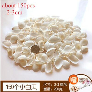 DIY spiralna školjka Školjke s rupama Prirodna plaža Kućni nautički obrt Ukrasi za rukotvorine Nakit Narukvica Ogrlica Morska zvijezda