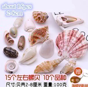 DIY spiralna školjka Školjke s rupama Prirodna plaža Kućni nautički obrt Ukrasi za rukotvorine Nakit Narukvica Ogrlica Morska zvijezda