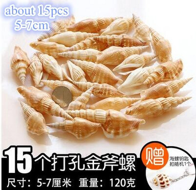 DIY spiralna školjka Školjke s rupama Prirodna plaža Kućni nautički obrt Ukrasi za rukotvorine Nakit Narukvica Ogrlica Morska zvijezda