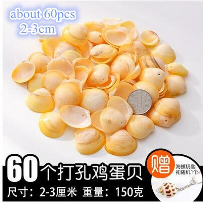 DIY spiralna školjka Školjke s rupama Prirodna plaža Kućni nautički obrt Ukrasi za rukotvorine Nakit Narukvica Ogrlica Morska zvijezda