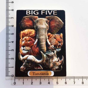 BABELEMI Kenija Tanzānija Big Five Animals Ledusskapis Magnētiskā uzlīme Ledusskapja Magnēti Ledusskapjiem Mājas Virtuves Dekorācija