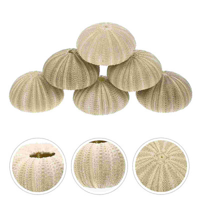 Urchin Shell Sea Airholder Planter Κρεμαστό χυμώδες γλάστρα Mini Nautical Decor Κοχύλια βάζου Στολίδι Φυσικές γλάστρες Diy θαλασσινά κοχύλια