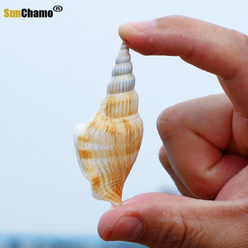 36 τμχ Golden Axe Conch Natural Shell Creative Handmade DIY Drifting Bottle Aquarium Scenery Mediterranean Ornaments Διακόσμηση σπιτιού