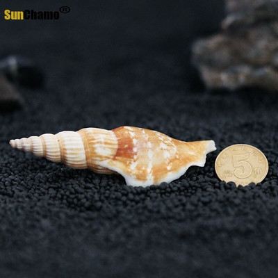 36 τμχ Golden Axe Conch Natural Shell Creative Handmade DIY Drifting Bottle Aquarium Scenery Mediterranean Ornaments Διακόσμηση σπιτιού