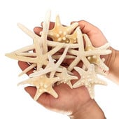 10 ks 5-8 cm prírodné hviezdice v stredomorskom štýle, DIY umelé mušle morských hviezd, párty, svadobné dekorácie do domácnosti, ručné práce, biele