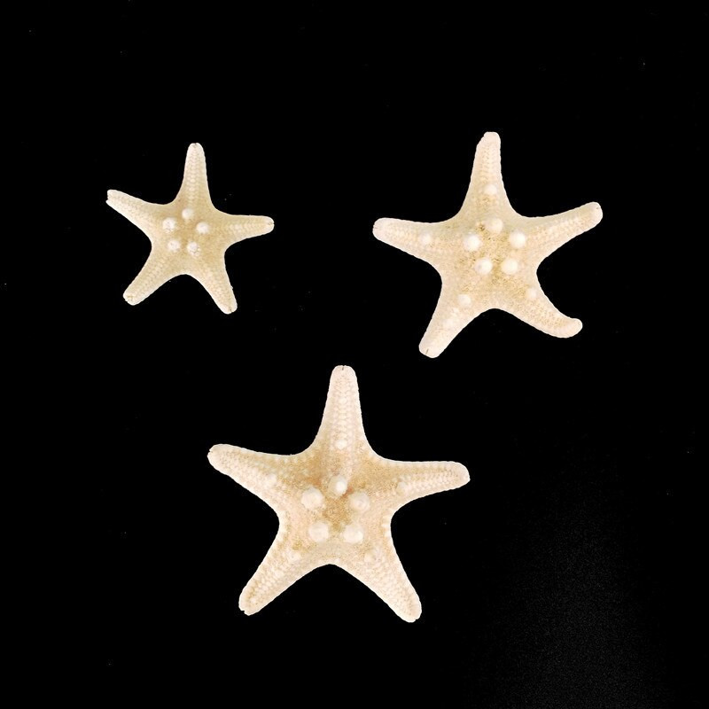 10 ks 5-8 cm prírodné hviezdice v stredomorskom štýle, DIY umelé mušle morských hviezd, párty, svadobné dekorácie do domácnosti, ručné práce, biele