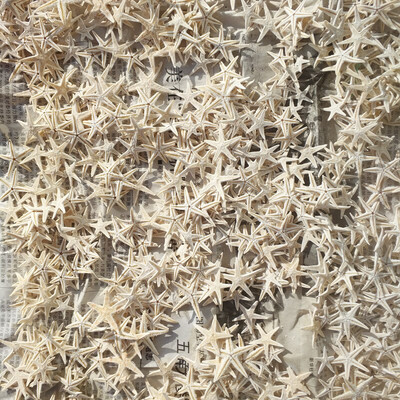 100 ks 1,8-3 cm biele miniatúrne dekorácie s hviezdicami, prírodné remeslá, morské hviezdy, DIY, plážová chata, svadobná dekorácia, horúca novinka