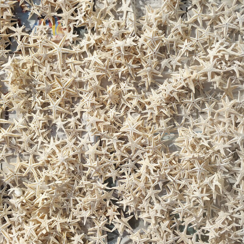 100 ks 1,8-3 cm biele miniatúrne dekorácie s hviezdicami, prírodné remeslá, morské hviezdy, DIY, plážová chata, svadobná dekorácia, horúca novinka