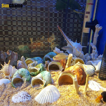 12 τμχ/παρτίδα Spiral Shell Fish Tank Shellfish Hermit Crabs Natural Conch Crafts Μικροτοπία Δείγματα Nautical Home Decor Beach