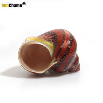 12 τμχ/παρτίδα Spiral Shell Fish Tank Shellfish Hermit Crabs Natural Conch Crafts Μικροτοπία Δείγματα Nautical Home Decor Beach