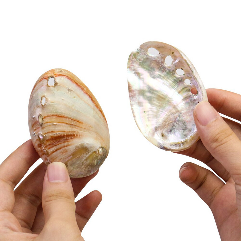 2 db Természetes Abalone Shells Tengeri kagylók Otthon Akvárium Táj barkácsolás Tengeri esküvői jelenet Dekoráció Kézműves gyűjthető ékszertartó
